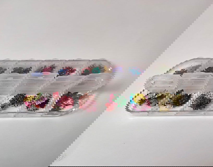 Dried Flowers - PYT Nail Supply Store