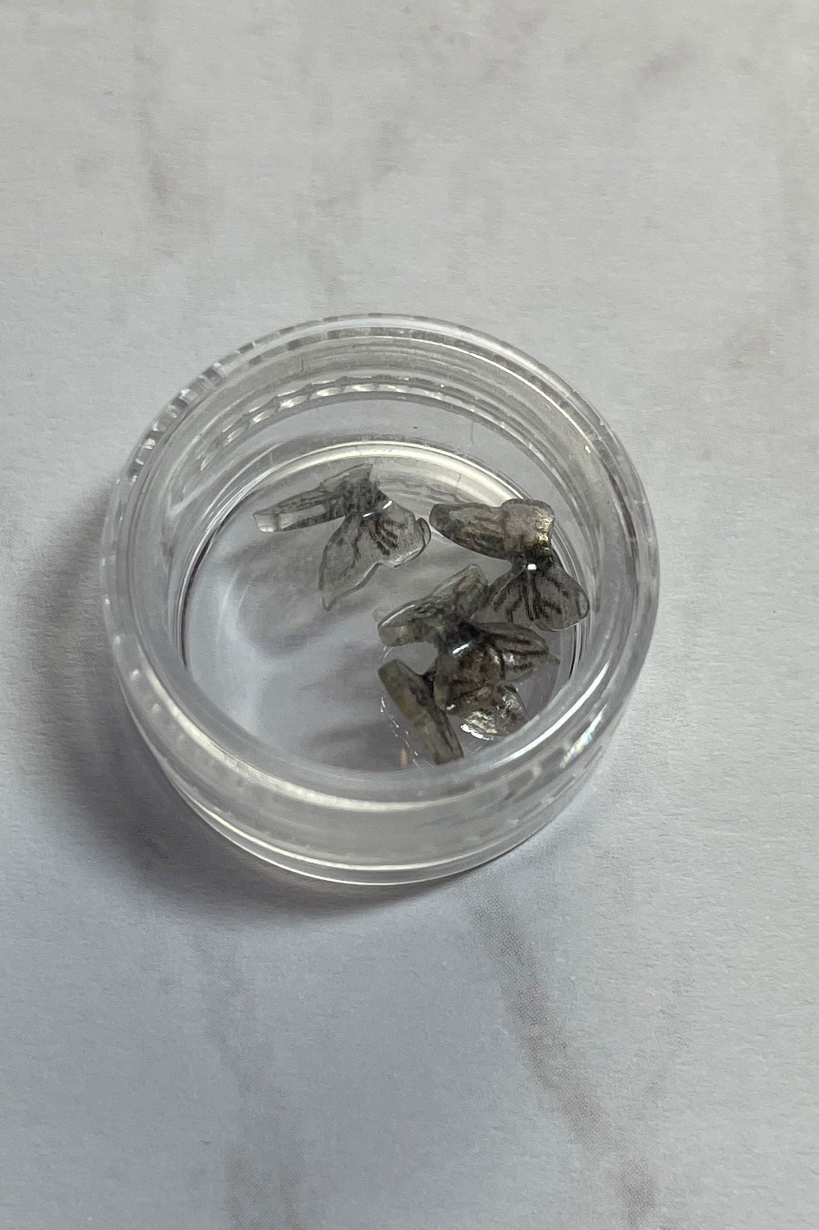 3D Black & Clear Butterfly Set - PYT Nail Supply Store